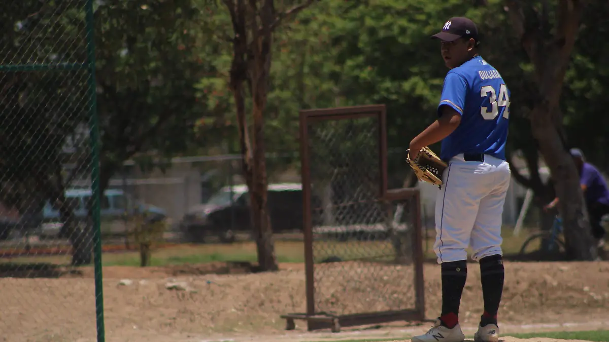 TOMATEROS TRES